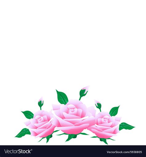 Rose background Royalty Free Vector Image - VectorStock