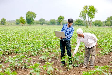 Better Cotton Idh Seek To Scale Indias Regenerative Agriculture