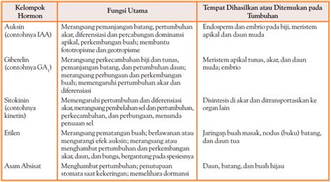 Faktor Internal Dan Eksternal Yang Mempengaruhi Fotosintesis - Riset