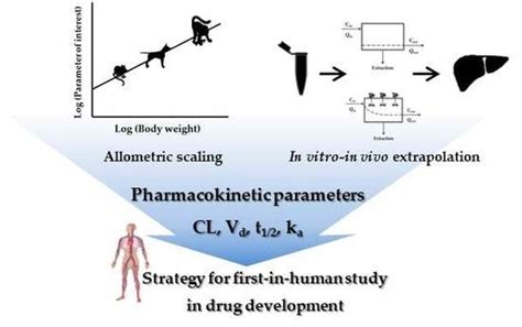 Pharmaceutics Free Full Text Interpretation Of Non Clinical Data For Prediction Of Human