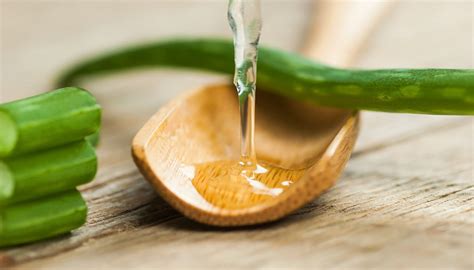 Gel AllAloe Vera Tutti I Benefici E I Migliori Da Acquistare