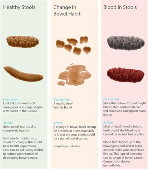 Blood In Stool Colon Cancer