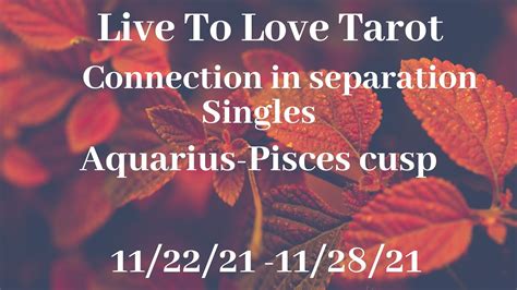 ♒️ Aquarius ♓️ Pisces Cusp Love Reads🍂you Are The One For Them🍂 Youtube