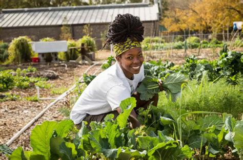Recent News Archives Black Farmers And Agriculturalists Association