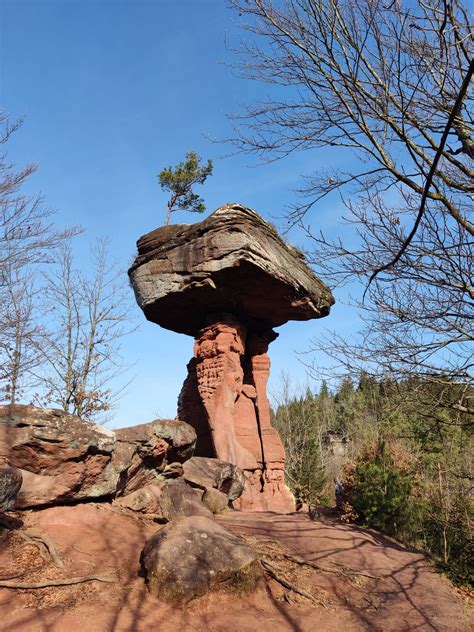 Teufelstisch Tour Hinterweidenthal Hinterweidenthal Urlaubsregion