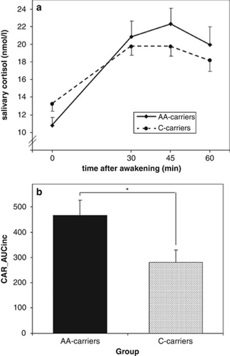 The Cortisol Awakening Response Car For Rs Aa And C Allele