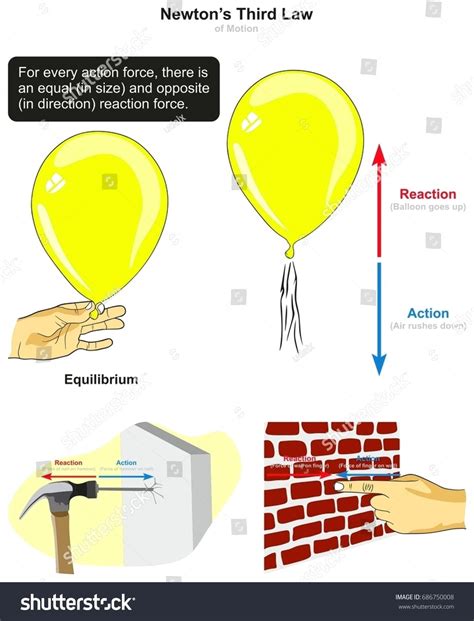 Third Law Motion Infographic Ygraph