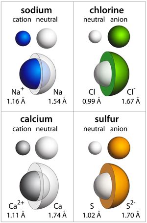 calcium ion protons  electrons