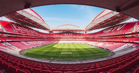 Benfica Stadium and museum tour | musement