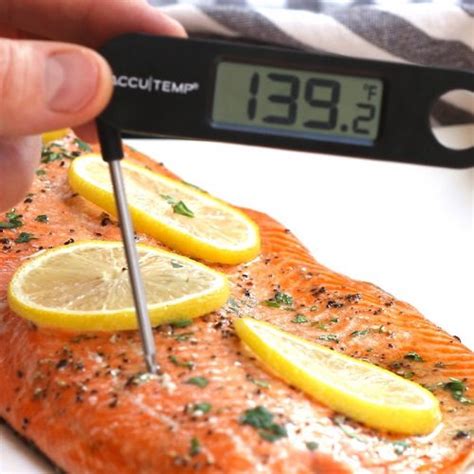 The Correct Salmon Internal Temperature for the Best Moist and Flakey ...