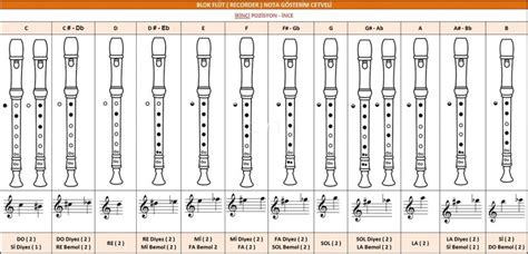 Blok Fl T Nota G Sterim Cetveli Sarkinotalari Net