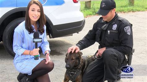 Worcester Police Department New K 9s September 20th 2018 Youtube