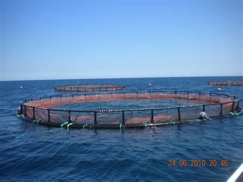 Hdpe Floating Fish Farming Cages For Tilapia Fish In Deep Sea Fish Cage