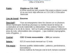 Exemple De Cv Europass Exemple De Modele De Cv Laboite Cv Fr