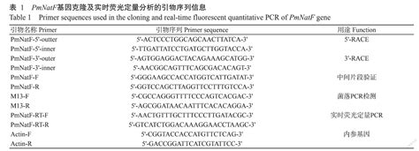 马氏珠母贝natf基因克隆及其表达分析参考网