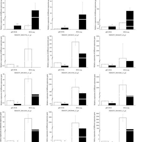 QRT PCR Verification And Transcriptome Sequencing Of DEGs Mean SD