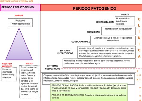 Resultado De Imagen Para Esquema De La Historia Natural Dela Enfermedad Leavell Y Clark Cosas