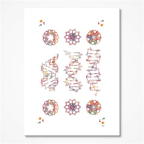 Dna Helix Art