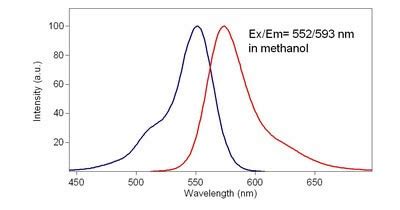 Tetramethylrhodamine Ethyl Ester Perchlorate CAS 115532 52 0 SCBT