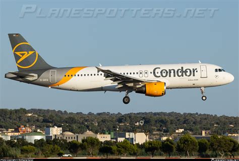 D Aicg Condor Airbus A Photo By Wolfgang Kaiser Id