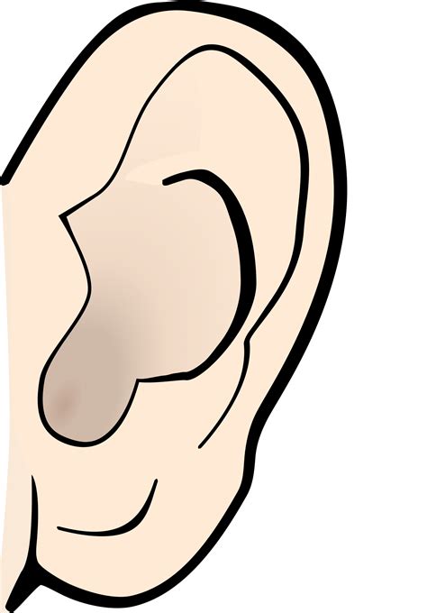 ear clip art