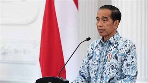 Pengamat Hukum Tata Negara Soal Presiden Boleh Kampanye Keadaban