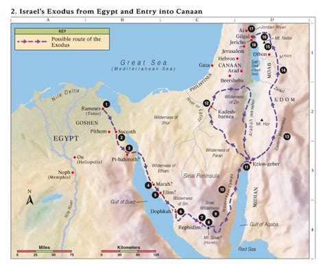 3.1 Exodus Details – Bible Study NZ