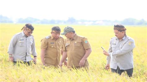 Panen Raya Padi Di Karawang Mentan Indonesia Baik Baik Saja