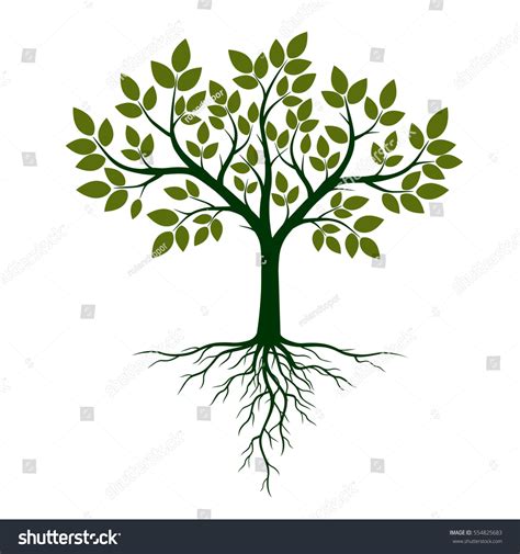 Green Tree Roots Vector Illustration Stock Vector Royalty Free