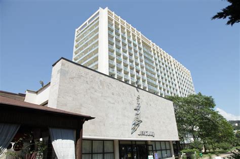 Адлер Отель Дельфин Фото – Telegraph