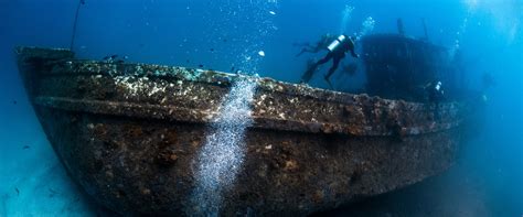 diving package tenggol coral beach resort