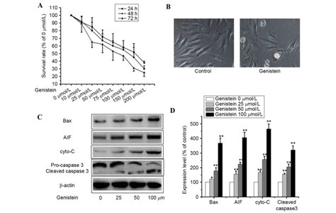 Genistein Decreases A549 Cell Viability Via Inhibition Of The PI3K AKT