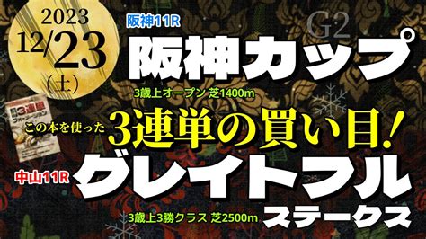 2023年12月23日土阪神11r【タンザナイトステークス】中山11r【ターコイズステークスg3】の3連単の買い目 競馬動画まとめ