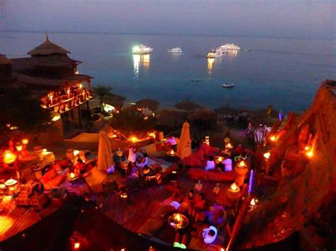 Farsha Caf In The Night Sharm El Sheikh Sharm El Sheikh Egypt