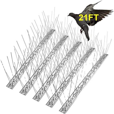 Best Avian Harmony Achieved Introducing Our Innovative Bird Spikes For