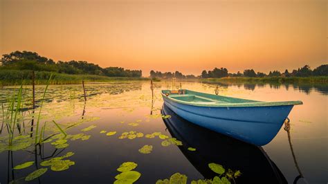 배경 화면 보트 하늘 수자원 차량 Natural Landscape 선박 나무 Boats And Boating Equipment And Supplies 햇빛