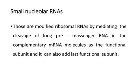 Structure and function of RNA | PPT