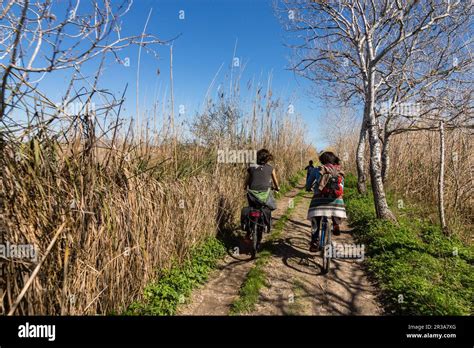 Parque Natural De La Albufera De Mallorca Prat De Son Serra Mallorca