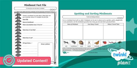 Science Biodiversity Minibeasts Home Learning Tasks Year