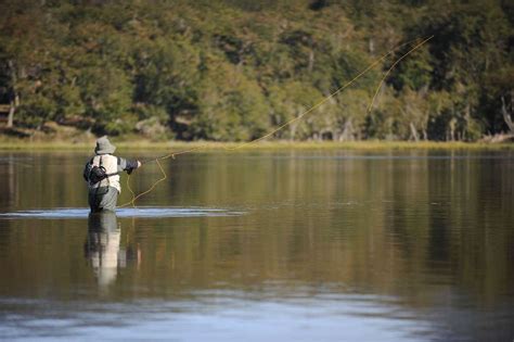 Cuenta Regresiva Para La Fiesta Nacional De La Trucha Y Pesca Con Mosca