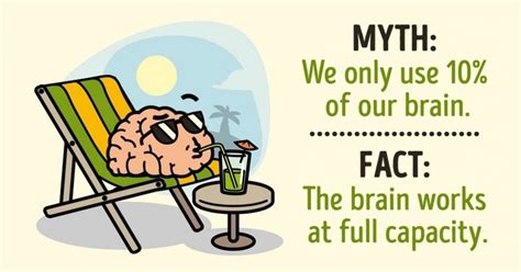 Myth We Use Only 10 Of Our Brain Fact The Brain Works At Full