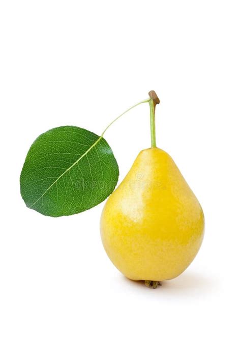 Red Yellow Pear Fruit With Leaf Isolated On White Stock Photo Image