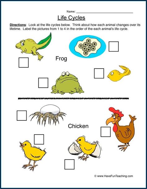 Free Science Worksheets Nd Grade Life Cycle