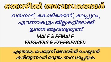 Job Vacancy In Kerala Job Vacancy Toady Malayalam Kerala Jobs