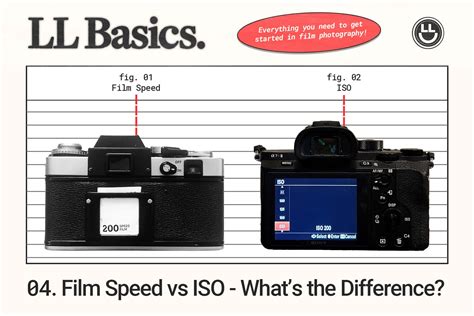 LL Basics Lens Lurker