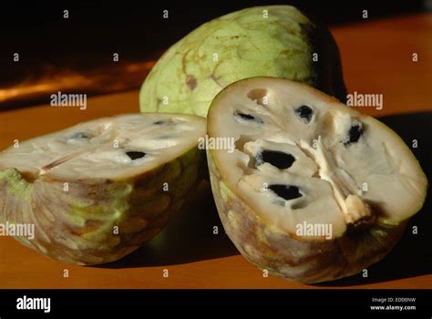 The Cherimoya Annona Cherimola Hi Res Stock Photography And Images Alamy