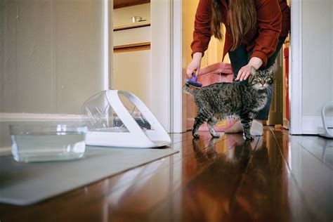 Grieving the Star of the Pot Roast Cinematic Universe: Pot Roast’s Mom