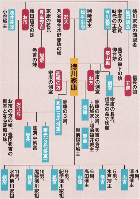 徳川家系図（徳川将軍家・水戸徳川家・額田藩・守山藩）鹿嶋八幡神社茨城県那珂市