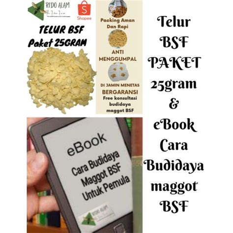 Jual Telur Maggot Bsf 25 Gram Dan Cara Budidaya Maggot Bsf Telur Lalat