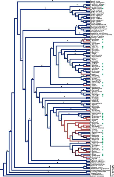 Plant Sex And The Evolution Of Plant Defenses Against Herbivores Pnas